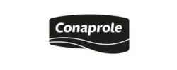 botellas con logo